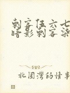 刺客伍六七中的暗影刺客柒