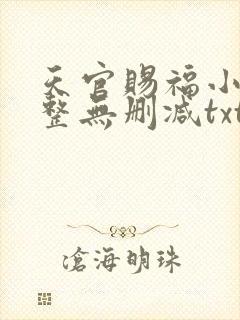 天官赐福小说完整无删减txt
