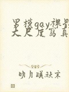 男模gay裸体大尺度写真