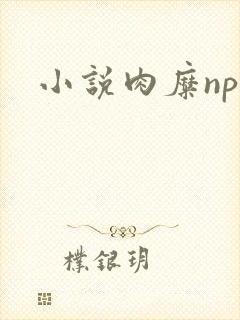 小说肉糜np