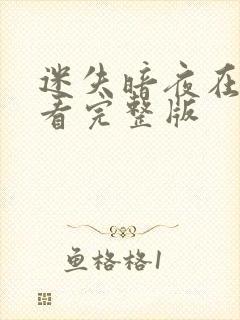 迷失暗夜在线观看完整版