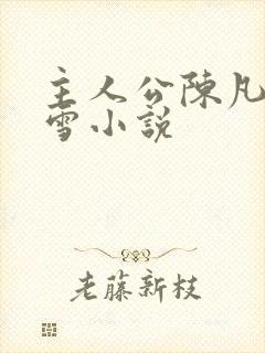 主人公陈凡苏傲雪小说