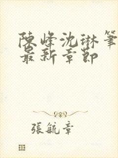 陈峰沈琳笔趣阁最新章节