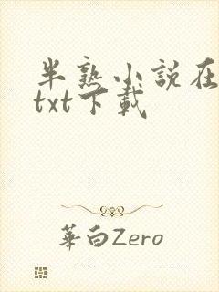 半熟小说在言外txt下载