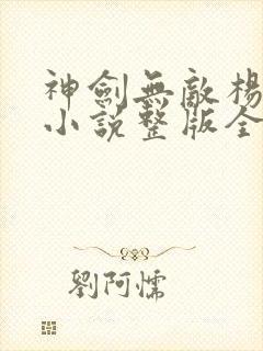 神剑无敌杨小天小说整版全文下载