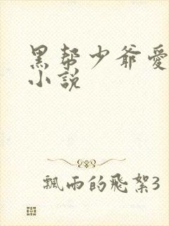 黑帮少爷爱上我小说
