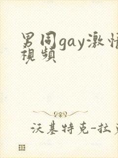 男同gay激情视频