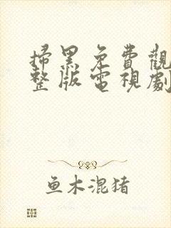 扫黑免费观看完整版电视剧高清