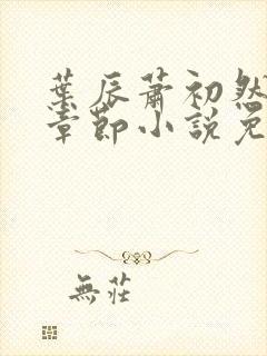 叶辰萧初然最新章节小说免费阅读