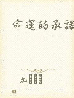 命运的承诺封面