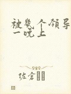 被几个领导玩弄一晚上