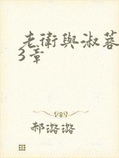 老卫与淑蓉第13章封面