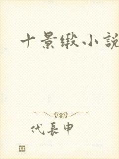 十景缎小说