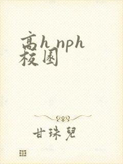高h nph 校园封面