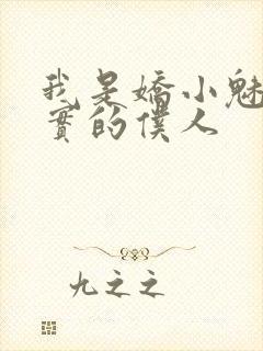 我是娇小魅魔忠实的仆人封面