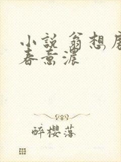 小说 翁想房中春意浓封面