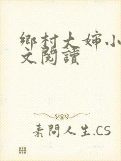 乡村大婶小说全文阅读封面