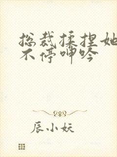 总裁揉捏她两乳不停呻吟