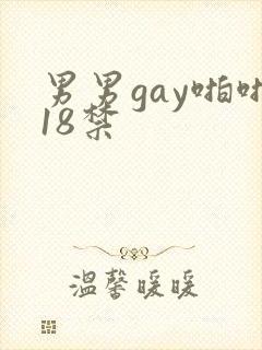 男男gay啪啪18禁