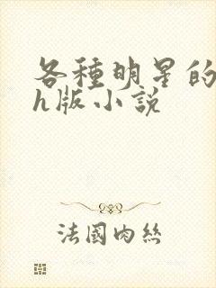 各种明星的综艺h版小说封面