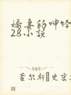娇妻的呻吟1—28小说