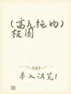 (高h,纯肉)校园