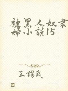 被黑人奴隶的少妇小说15封面