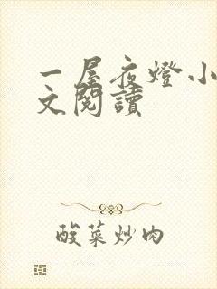 一屋夜灯小说全文阅读