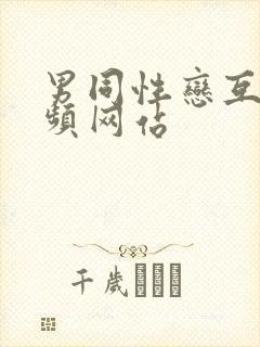 男同性恋互艹视频网站