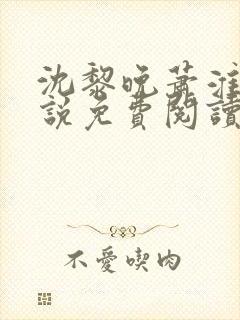 沈黎晚萧淮正小说免费阅读