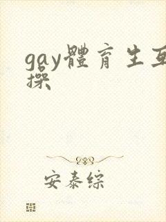gay体育生互操