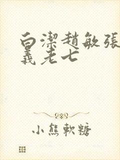 白洁赵敏张倩高义老七