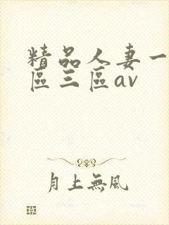 精品人妻一区二区三区av