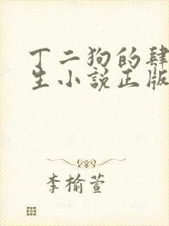 丁二狗的肆意人生小说正版封面