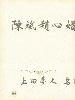 陈斌赵心媚小说