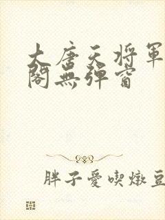 大唐天将军笔趣阁无弹窗封面