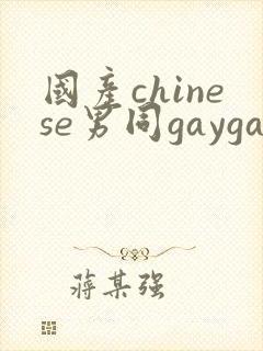 国产chinese男同gaygay网站封面