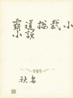 霸道总裁小娇妻小说