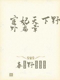 宦妃天下野泉额外篇章