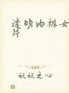 透明内裤女款图片