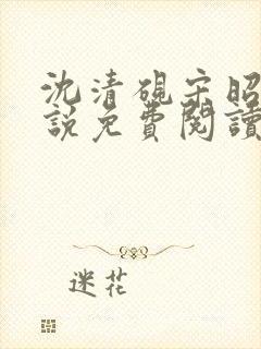 沈清砚宋昭汐小说免费阅读最新章节封面