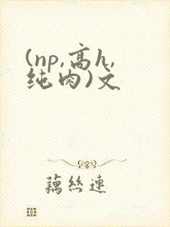 (np,高h,纯肉)文