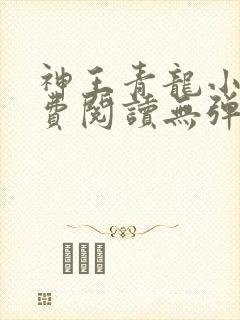 神王青龙小说免费阅读无弹窗封面