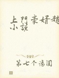 上门豪婿赵旭的小说