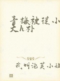 青梅被从小摸到大h补