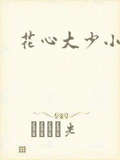 花心大少小说