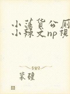 小荡货公厕h文小辣文np视频