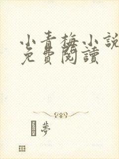 小青梅小说全文免费阅读