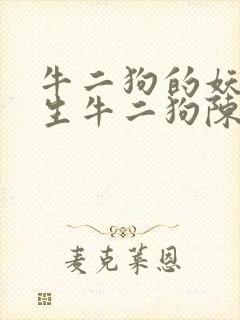 牛二狗的妖孽人生牛二狗陈小凤全文未删减