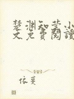 楚渊知莹小说全文免费阅读封面